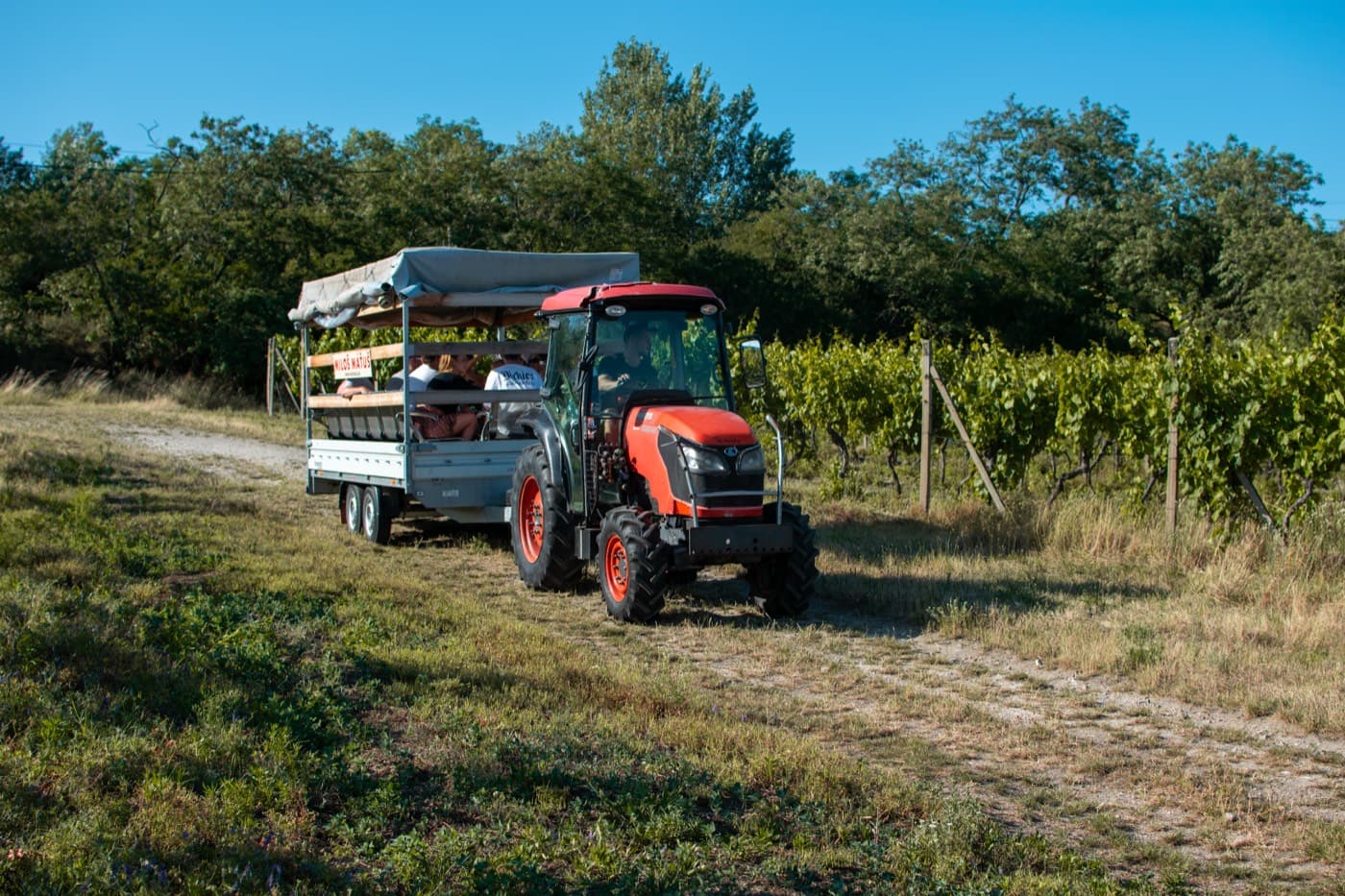 Traktor s vlečkou medzi vinicami